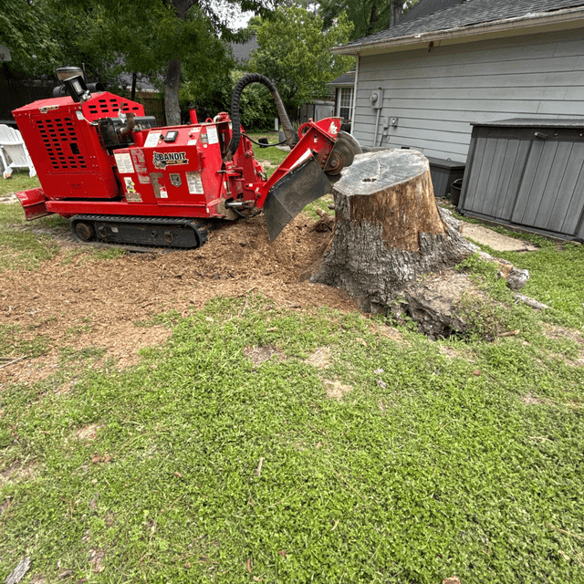 Stump Grinding in Humble TX by José Hernández Tree Service